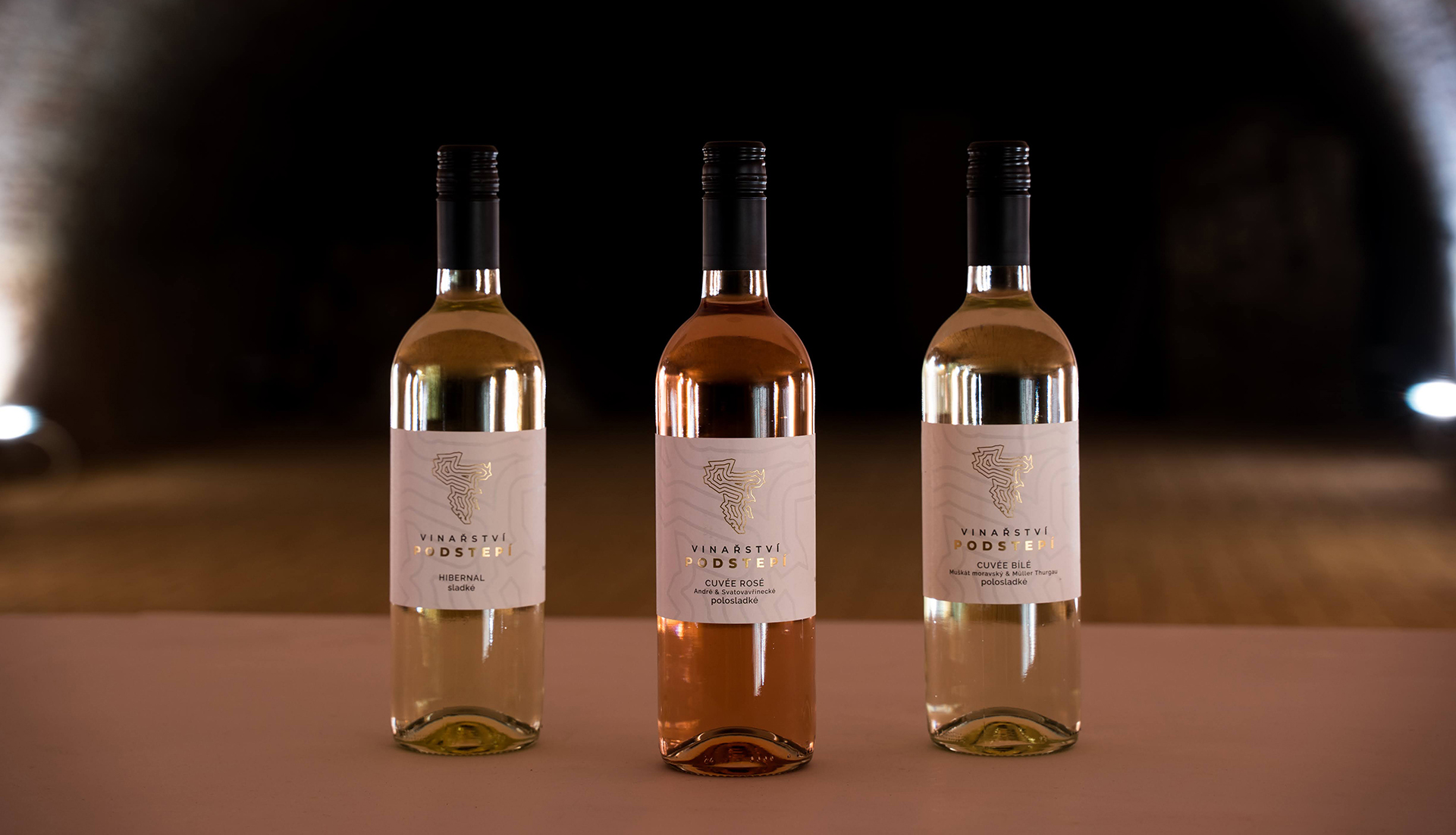 DEGUSTACE VÍNA