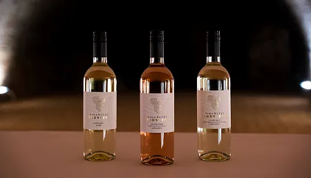 DEGUSTACE VÍNA